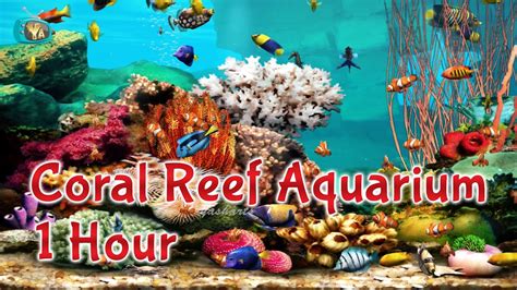 Coral Reef Aquarium | 1 HOUR 🐠 | Relaxing Fish Screensaver | Yash Arts ...