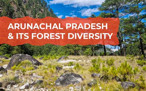 Arunachal Pradesh and its Forest Diversity | Blog Details