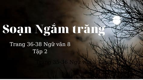 Soạn Ngắm Trăng Trang 36 38 Ngữ Văn 8 Tập 2