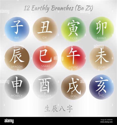 Set of symbols from chinese hieroglyphs. Translation of 12 zodiac ...