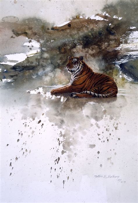 Bengal Tiger Wildlife Paintings Watercolor Animals Pinto Horse