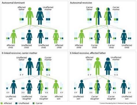 How to Discuss Genetic Disease with Your Loved Ones - Global Genes ...