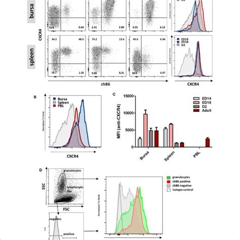 Flow Cytometric Characterization Of Different B Cell Populations