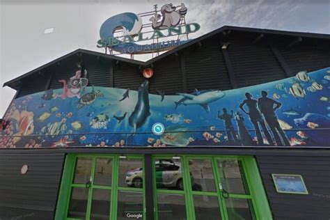 L Aquarium Du Port De Noirmoutier Sealand Ferme Ses Portes D Finitivement