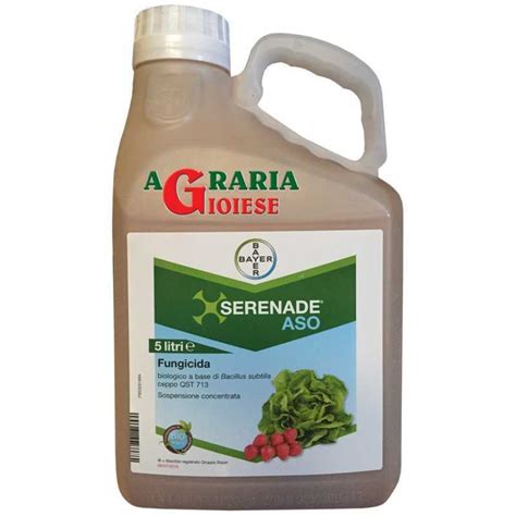 Bayer Serenade Aso Fungicide Based On Bacillus Subtilis Lt 5