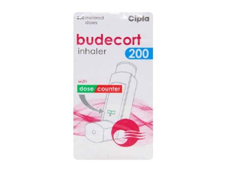 pulmicort budesonide meds mingle