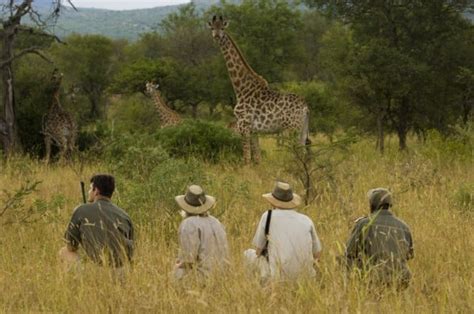 Hiking Safari, Pilanesberg National Park