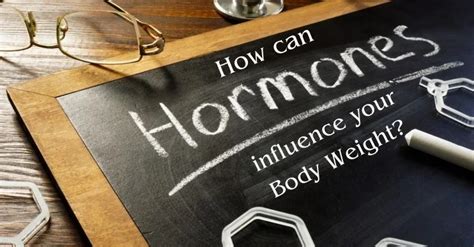 Hormones And Weight Loss How Can Hormones Influence Your Body Weight