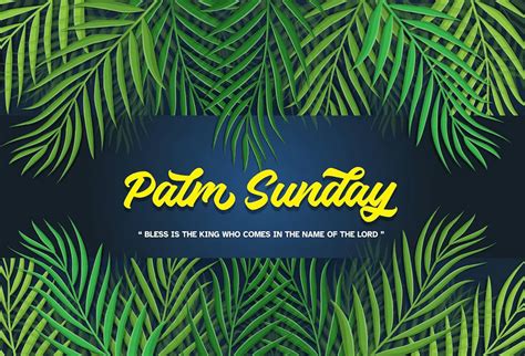 Reflection On The 6th Sunday Of Lent Palm Sunday Ajan