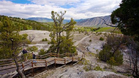 Yellowstone National Park Vacation Packages Book Cheap Vacations