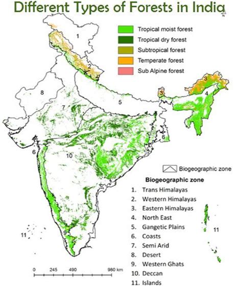 Different Types Of Forests In India Indian Geography In 2021 Types