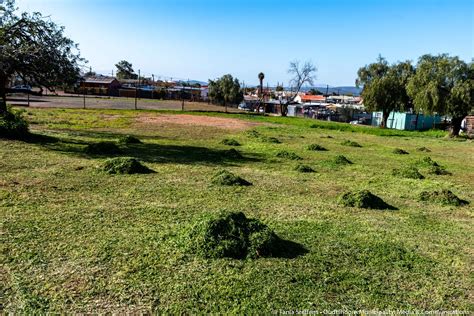 25 July 2023 Media Release: Oudtshoorn Local Municipality progress in