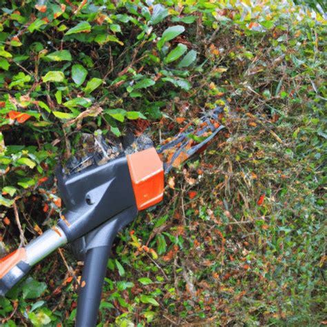 How To Fix A Jammed Hedge Trimmer A Step By Step Guide Homes Whiz