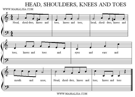 Head Shoulders Knees And Toes Song Lyrics