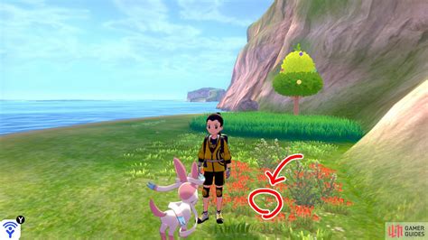 Fields of Honor Diglett Hunt The Isle of Armor DLC Pokémon