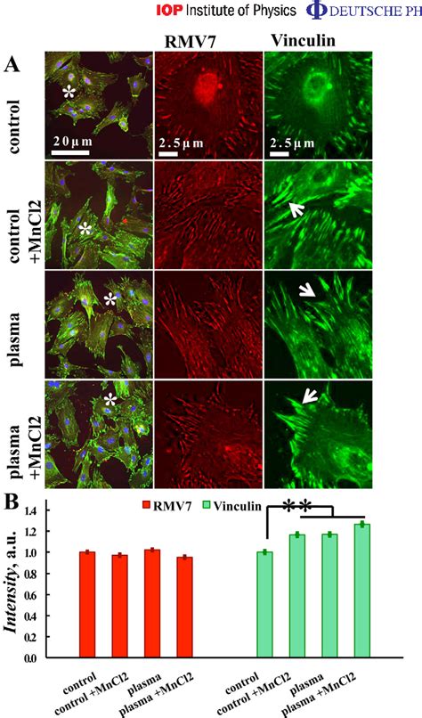 Figure 5 From Anatomy And Regenerative Biology Faculty Publications