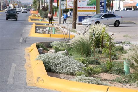 Construir Estado Jardines De Lluvia En Esquinas De Ciudad Ju Rez