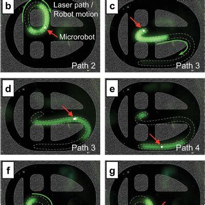 Eulerian path navigation. a) Path design for demonstration of Eulerian... | Download Scientific ...