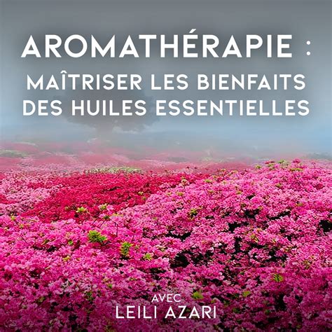 Aromath Rapie Ma Triser Les Bienfaits Des Huiles Essentielles