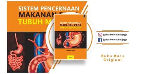 Sketsa Sistem Pencernaan Manusia Gambar Buku Imagesee