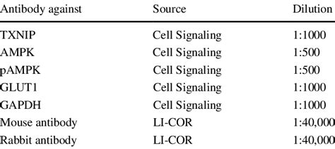 Antibodies used in western blot experiments | Download Scientific Diagram