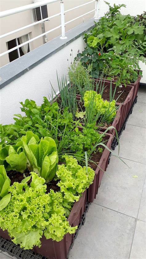 50 Inspiring Small Vegetable Garden Ideas (2) | Como fazer horta ...