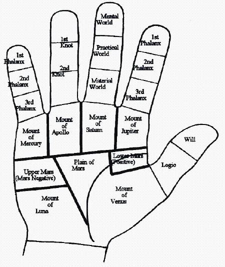 Combination of Mounts - Palmistry Lines