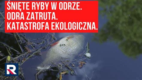 Ni Te Ryby W Odrze Odra Zatruta Katastrofa Ekologiczna Tv