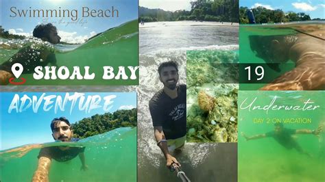 Part 2 Shoal Bay Beach 19 Best Beach In Andaman Picnic Adventure