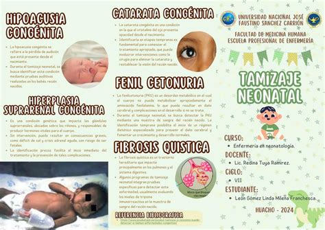 Tríptico De Tamizaje Neonatal Linda Milena León Gómez Udocz