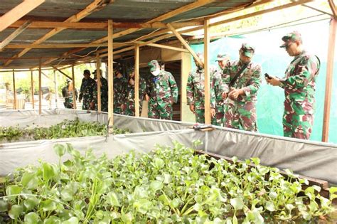 Kasdam IM Tinjau Lahan Ketahanan Pangan Rindam Pos Aceh