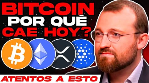 LOS PRECIOS SE DESPLOMAN Noticias Criptomonedas HOY Bitcoin