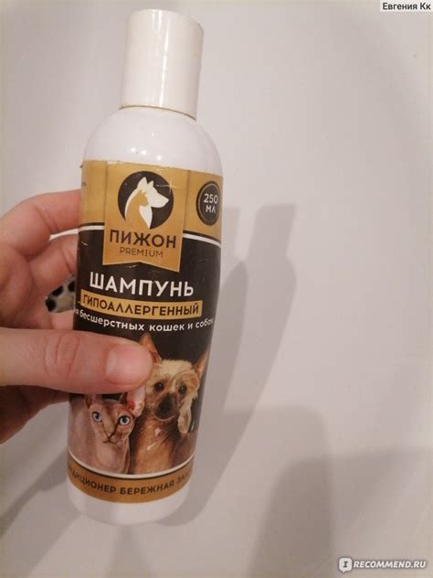 Шампунь-кондиционер Пижон Premium Гипоаллергенный для бесшерстных кошек ...