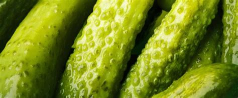 5 Health Benefits Of Pickles What S Good By V