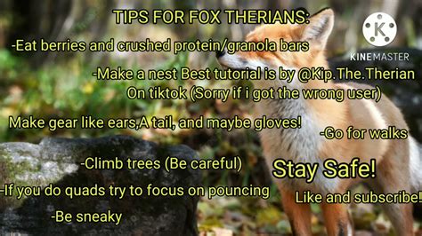 🐾🌿 Tips For Fox Therians 🐾🌿 Youtube