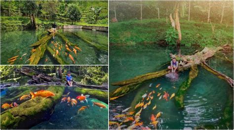 Umbul Mudal Slukatan Sumber Air Yang Jadi Tempat Istirahat Bagi Para