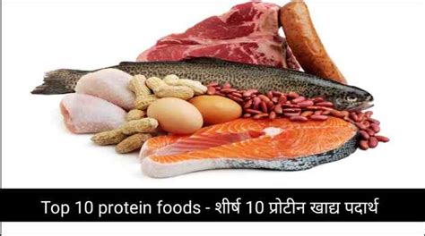 Top 10 Protein Foods शीर्ष 10 प्रोटीन खाद्य पदार्थ Facttechno