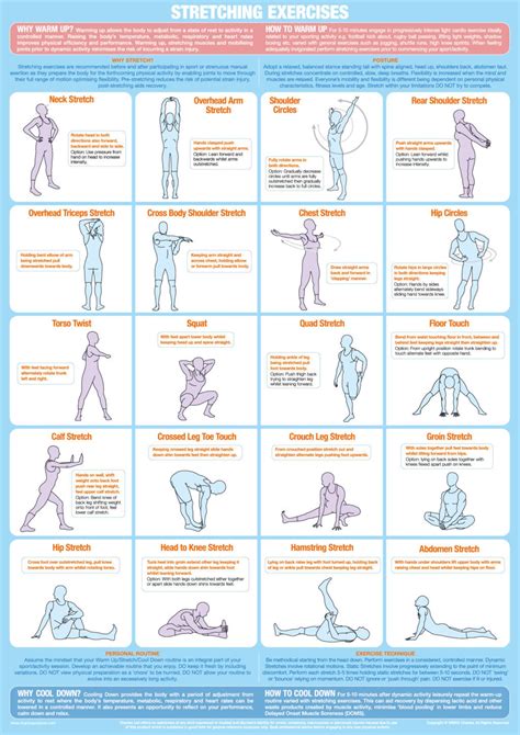 Stretching Exercise Poster Warm Up Cool Down Chart Gym Training Chart