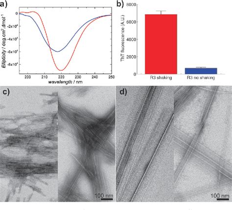 Figure From Microtubule Binding R Fragment From Tau Self Assembles