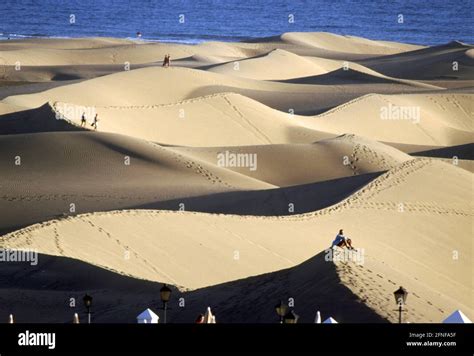 GRAN CANARIA-CANARIAN ISLANDS Sand dunes like in the Sahara: The dunes ...