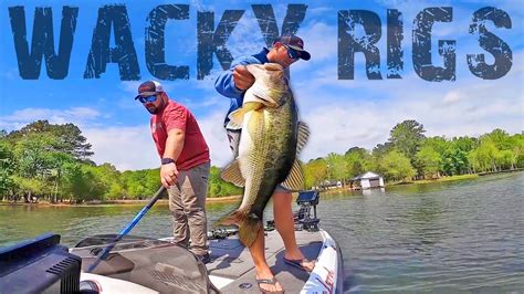 Catching Loads Of Bass On Wacky Rigs Wacky Rig Fishing Tips Youtube