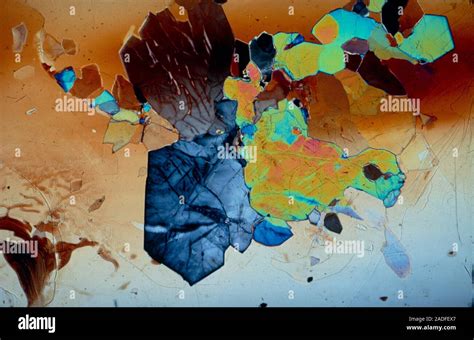 Polarised Light Micrograph Of A Rock Thin Section Showing Quartz