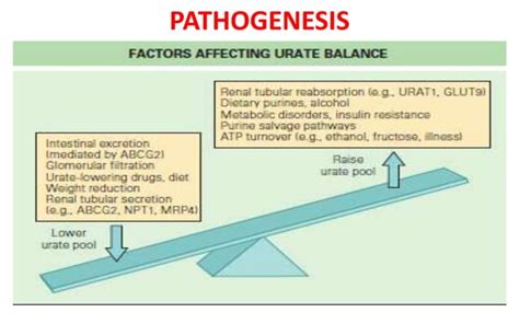 Uric Acid Metabolism And Gout Ppt