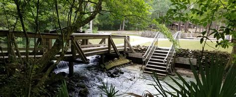 Ponce de Leon Springs State Park | Florida State Parks