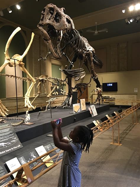 Dinosaur Discovery Museum - Kenosha, WI - Kid friendly activity rev ...