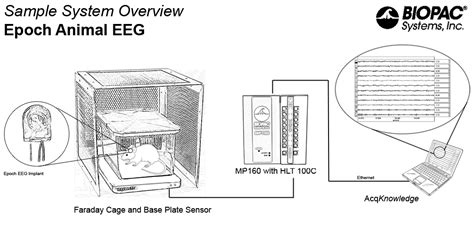 Wireless In Vivo Eeg For Mouse Epoch Mse Sys Epoch Rat Sys Epoch