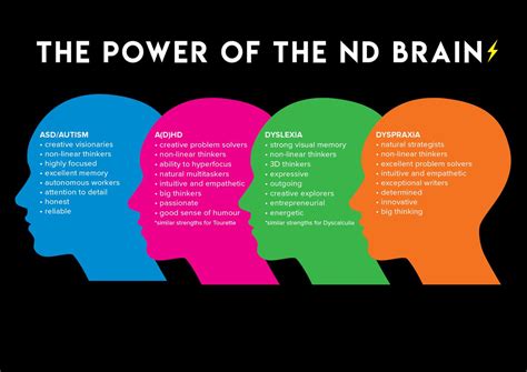 The Neuroscope General Terminology