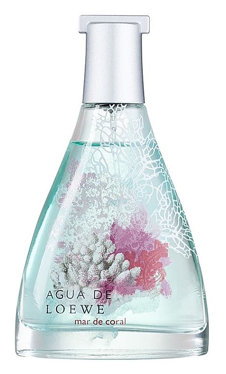 Makeupstore co il Eau de Toilette טסטר עם כובע Loewe Agua de