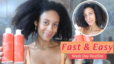 Steps To A Fast Easy Wash Day Routine For Natural Hair Youtube