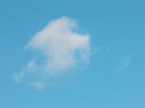 Free stock photo of ash clouds, cloud, dragon cloud